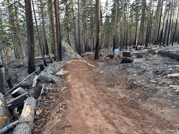 Sierra Buttes Trail Crew Enhances Mt Hough Tollgate Trail with New Features