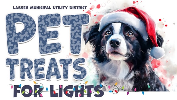 Giving Campaign Supports Shelter Pets at Lassen Humane Society