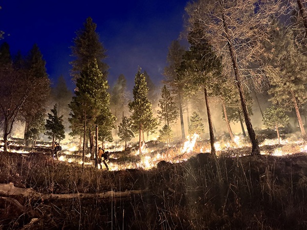 Feather River Ranger District Prescribed Burning Update
