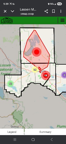 LMUD Crews Work to Restore Power Amid Widespread Tree Damage and Outages