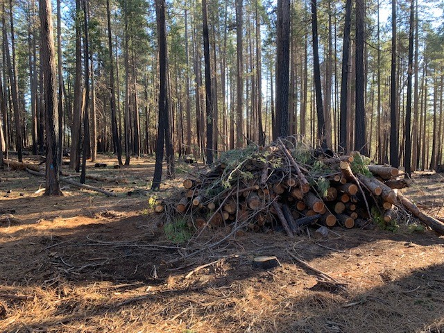 Pile Burning near Magalia and in Two Locations by Plumas NF