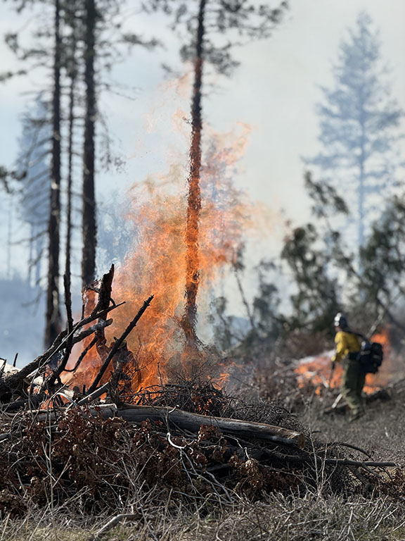 Prescribed Burning in Concow Basin
