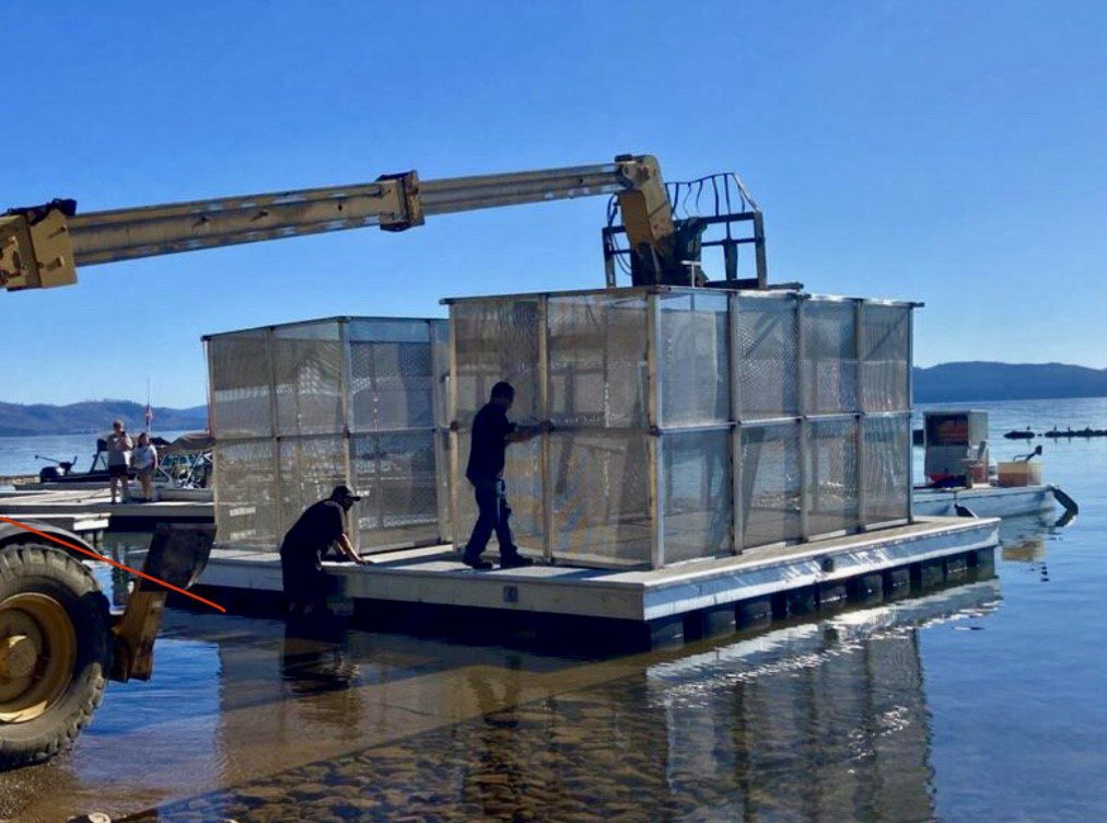 Almanor Fishing Association Completes Fish Pen Upgrades