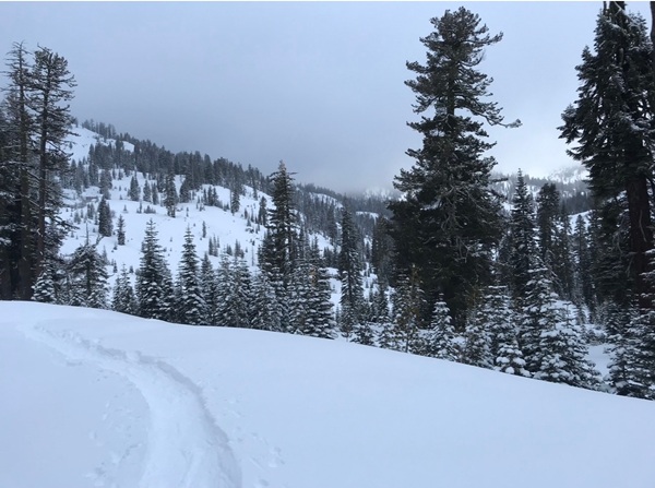 Lassen National Park Winter Visitor Center and Store Hours
