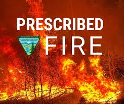 BLM planning prescribed burning across Lassen County