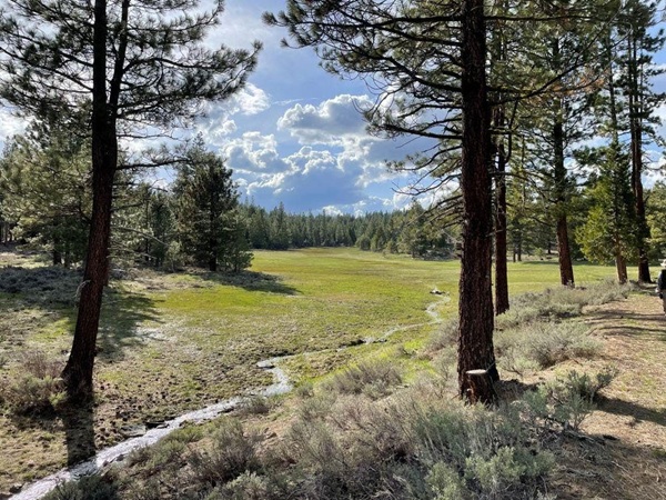 Land trust transfers 1,000+ acres to Sierra Nevada Journeys