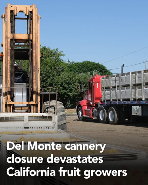 Del Monte Foods Closing Cannery in Modesto