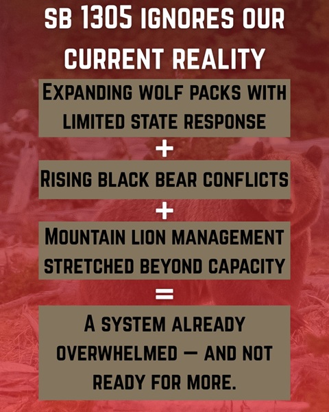 Heather Hardwick Opposes Grizzly Bear Reintroduction in California Urges Focus on Current Wildlife Management Challenges