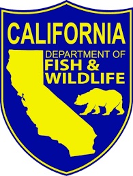California Begins Evaluation of Wolf Livestock Compensation Program with Stakeholder Workshop