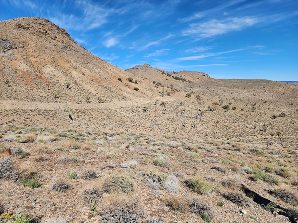 BLM Approves Exploratory Drilling for Gold and Minerals in Inyo County California