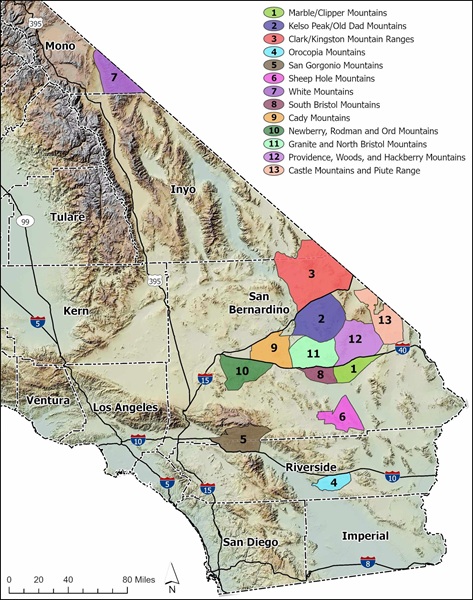New Desert Bighorn Sheep Hunting Zones Open for 2026-27 Season