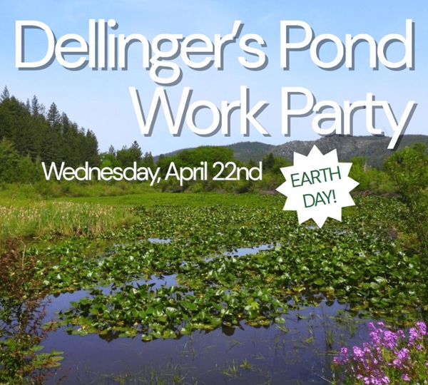 Plumas Audubon and Feather River College Team Up to Revitalize Dell’s Pond for Earth Day