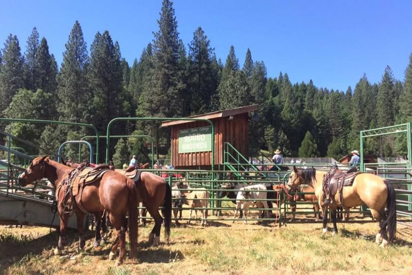 FRC Production Horse Sale and Western Heritage Event in Quincy May 15 and 16