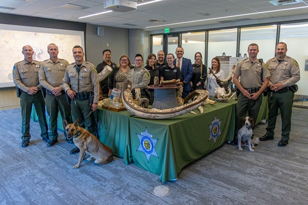 CDFW Celebrates 10 Years of Combating Wildlife Trafficking with Assembly Bill 96