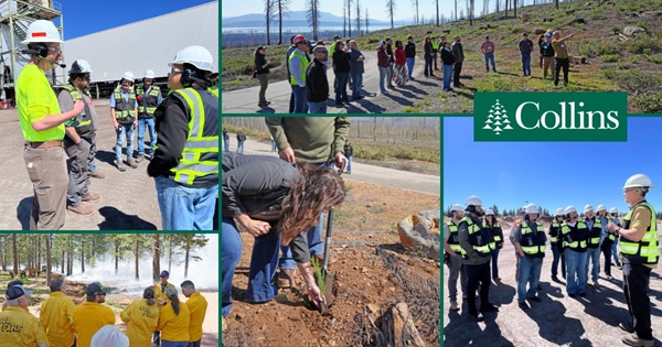 Collins Forest Tours Connect Policymakers with California Forest Ecosystems and Management Efforts