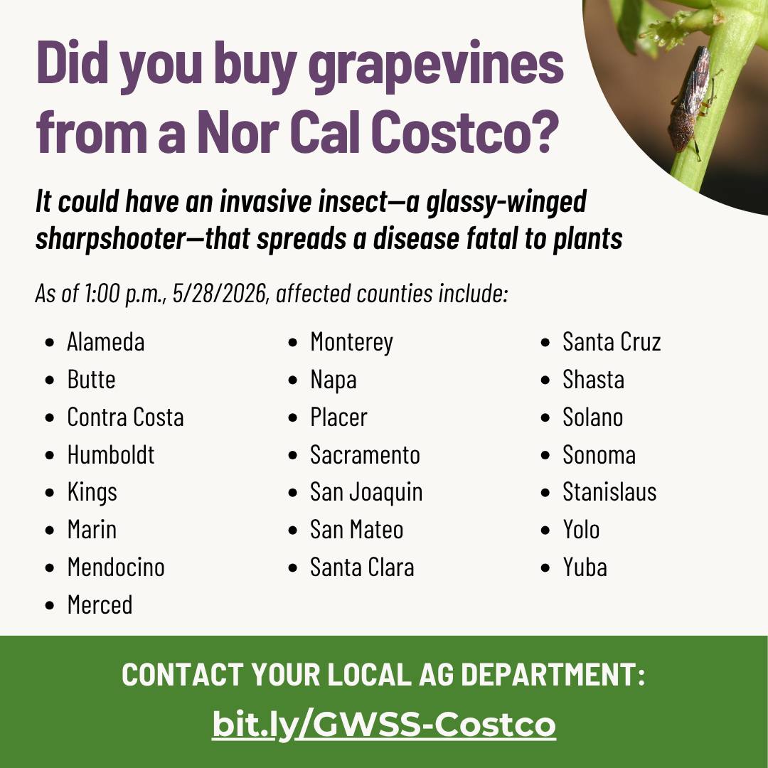Urgent Action Required for Costco Grapevines and Blueberries in California Oregon and Nevada