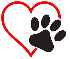 High Plateau Humane Society Pauses Dog Rescue Program Amid Funding and Volunteer Shortages