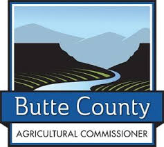 Butte County Warns Residents to Act Quickly on Costco Plants Infested with Glassy Winged Sharpshooter