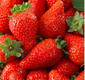 New Strawberry Varieties Boost California Production and Advance 2026 Harvest Season