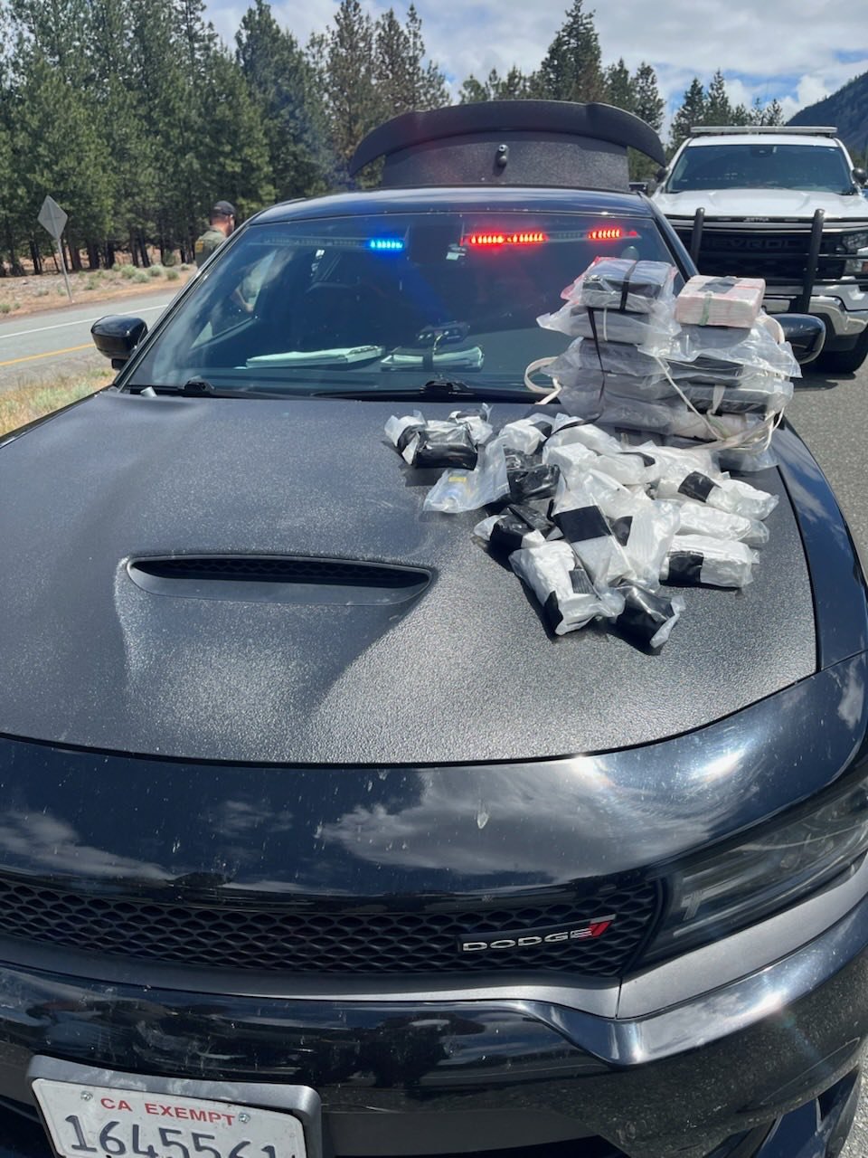 $1.9 Million Cocaine Seizure Results in Arrest