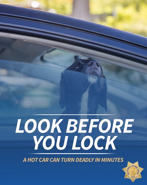 California Highway Patrol Warns About Deadly Heat Risks for Children and Pets in Parked Cars