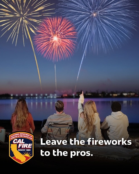 Stay Safe This Fourth of July Leave Fireworks to the Professionals