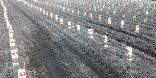 How Milk Cartons Help Farmers Conserve Water Protect Plants and Reduce Waste