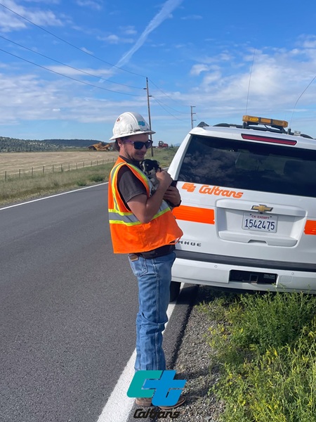 Caltrans Workers Rescue Lost Puppies on US 395 in Modoc County