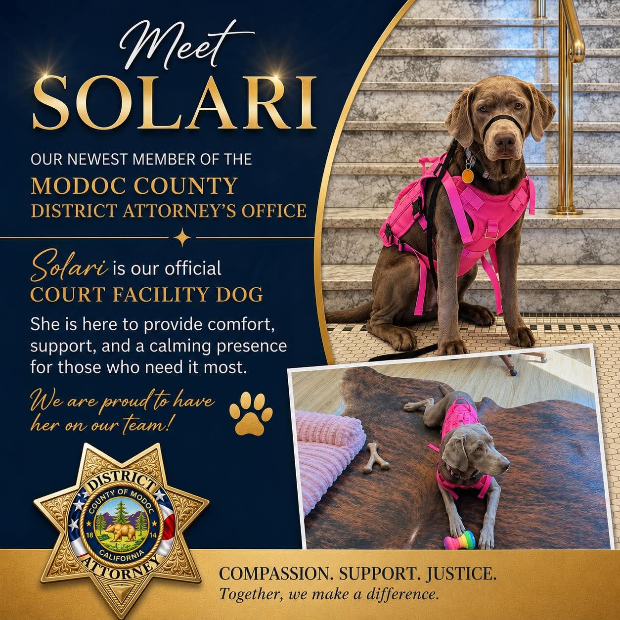 Modoc County District Attorney Welcomes Solari Court Facility Dog to Support Victims and Witnesses