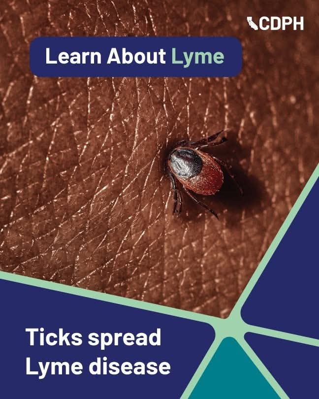 How to Recognize and Prevent Lyme Disease from Tick Bites