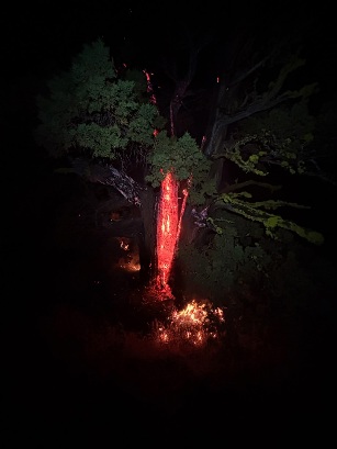Lightning Strikes Trigger Multiple Small Fires in Plumas National Forest with No Evacuations
