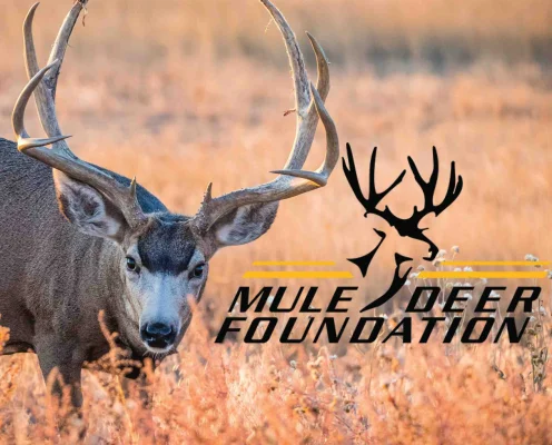 Mule Deer Foundation Secures 2.9 Million for Wildlife Habitat Connectivity in Northeast California