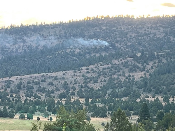 Sierra County Sheriff Provides Update on Newman Fire Caused by Lightning Strike