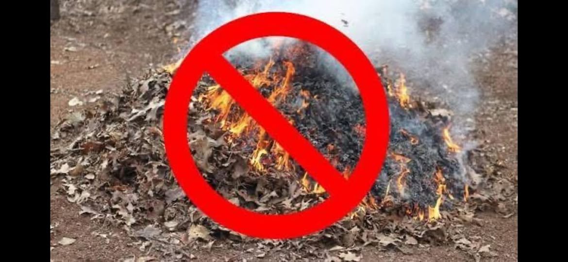 No Burn Day Declared for Lassen Modoc and Plumas Counties June 4 to June 8 2026