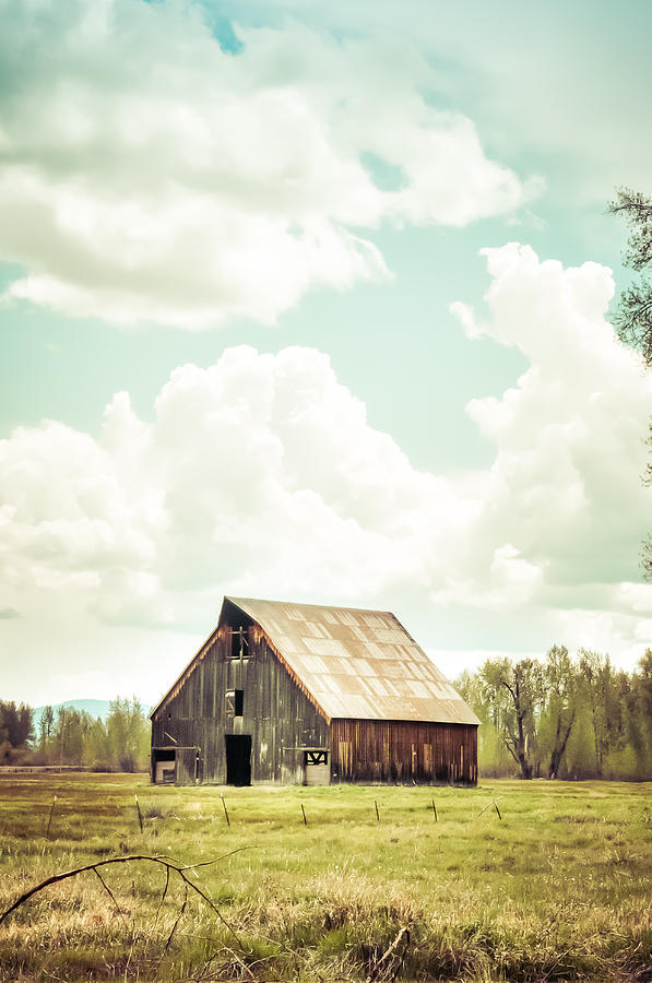 Feather River Land Trust Begins Accessibility and Restoration Work at Olsen Barn Meadow