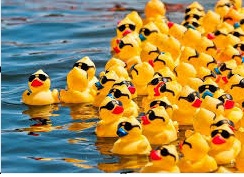 Modoc County Rotary Duck Race Canceled in 2026 Due to State Law Changes