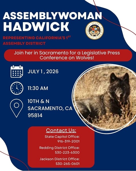 ASSEMBLYWOMAN HADWICK PROVIDES UPDATES ON WOLF LEGISLATION AND FUNDING