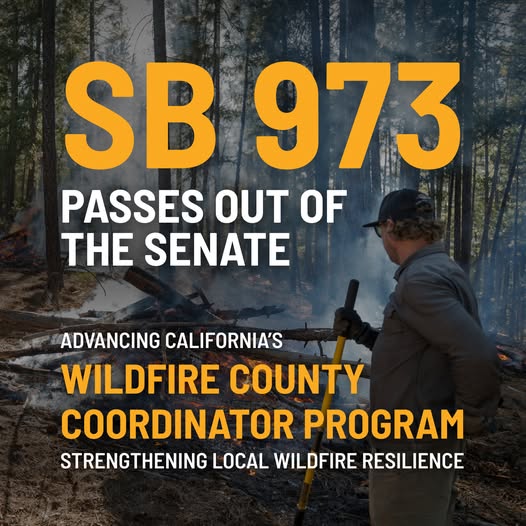 Wildfire Resilience Bill Advances to California Assembly