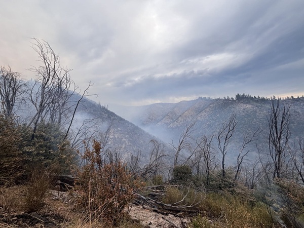 Twain Fire Grows to 275 Acres, Containment Holds at 10%