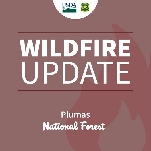 Twain Fire Holds at 276 Acres; Evacuation Zones Downgraded