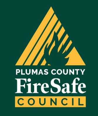 Fuels Reduction Project Begins Near East Quincy