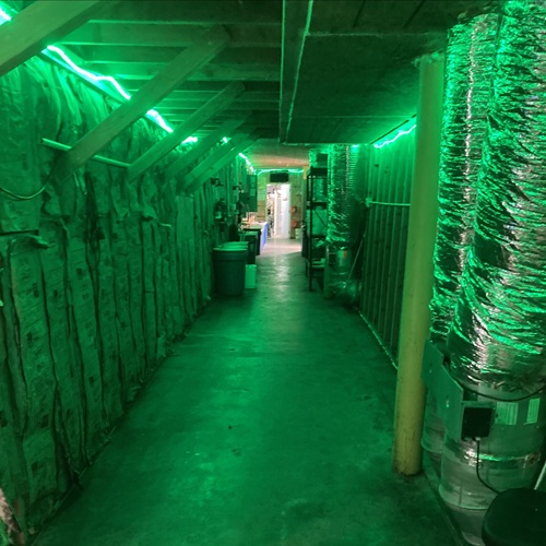 Butte County Among Top Targets as California Reports Major Illegal Cannabis Seizures