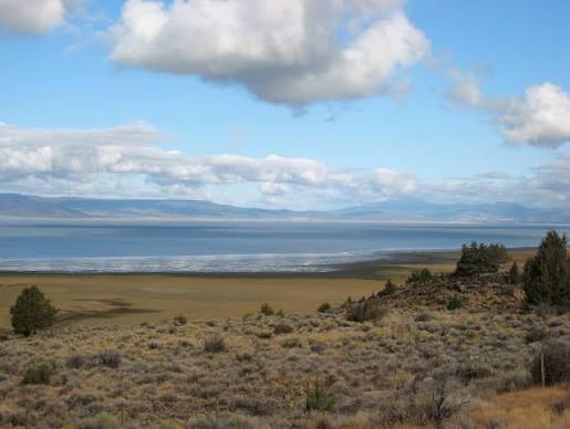 USFWS Reviews Potential Threatened Status for Goose Lake Fish Species Due to Habitat Loss