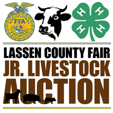 Lassen County Junior Livestock Auction Raises Over 382000 Supporting 4H FFA Youth