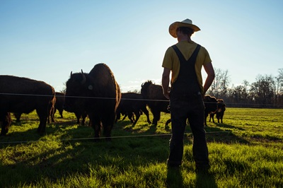 USDA Announces Lawfare Partnership with SBA to Shield Producers, Ranchers, and Small Businesses from Weaponized Regulation