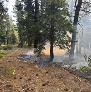 Authorities Arrest Reno Woman in Dog Valley Wildfire Case