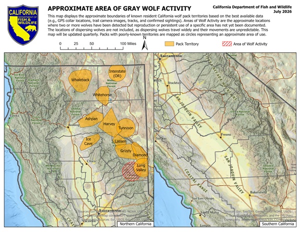 California Updates Gray Wolf Activity Monitoring and Identification System