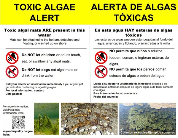 Algal Mat Alert Warns of Toxic Water Hazards on Modoc National Forest Trails