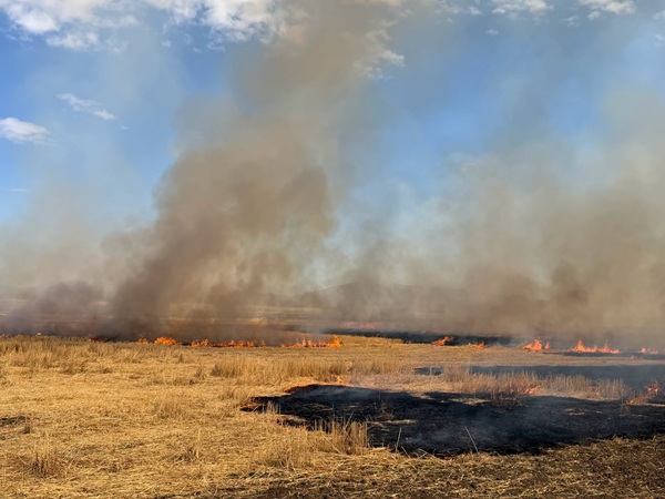 CAL FIRE and Partners Complete 450 Acre Prescribed Burn to Reduce Wildfire Risk