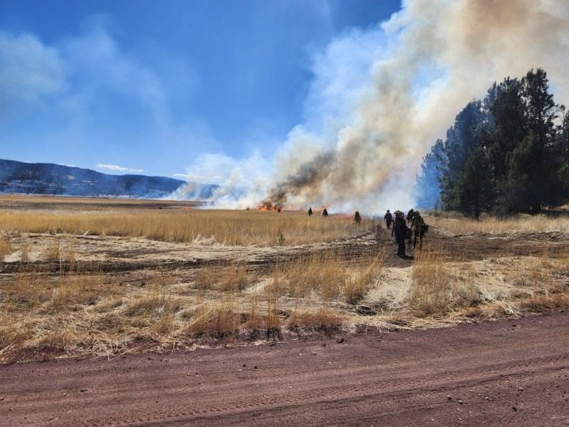 CAL FIRE Completes 450 Acre Prescribed Burn to Reduce Wildfire Risk in Lassen County
